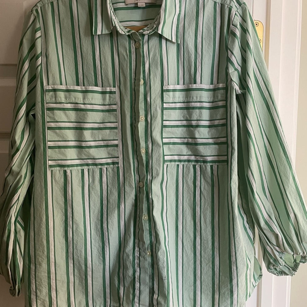 LOFT Women's Mint and Dark Green Striped Blouse